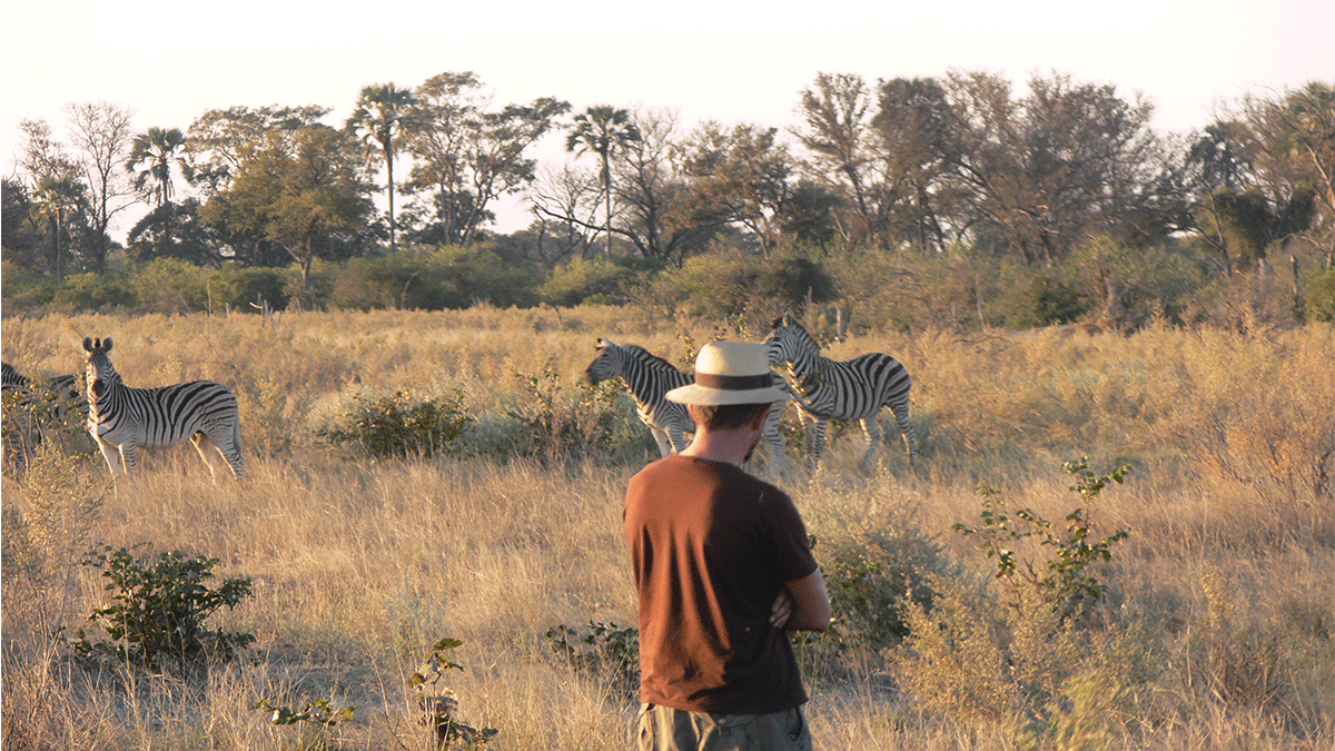 WalkingSafariinLakeMburonationalparkx